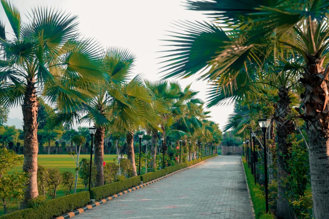 Pride Resort & Convention Center Ranakpur Near Ranakpur Dam Sādri Dış mekan fotoğraf