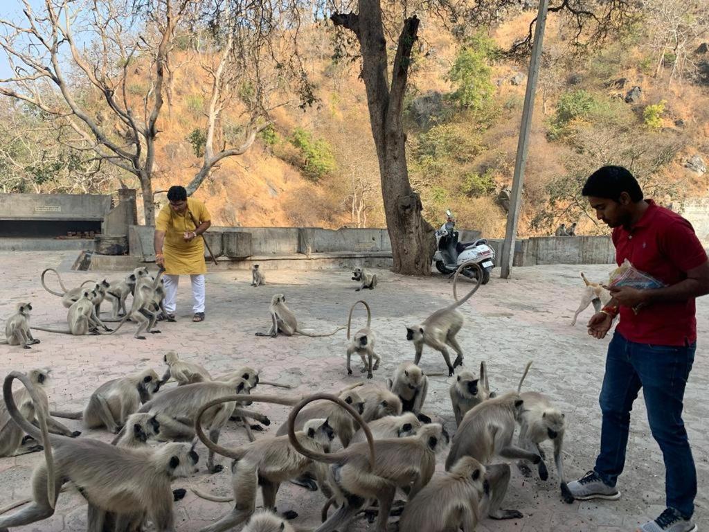 Pride Resort & Convention Center Ranakpur Near Ranakpur Dam Sādri Dış mekan fotoğraf